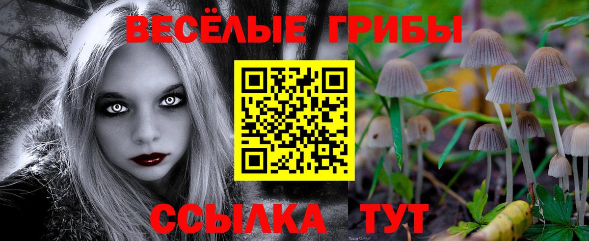 Псилоцибиновые грибы MAGIC MUSHROOMS Домодедово